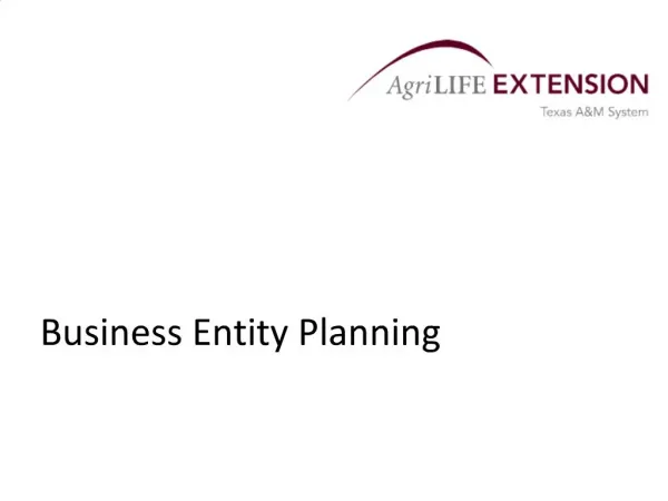 Business Entity Planning