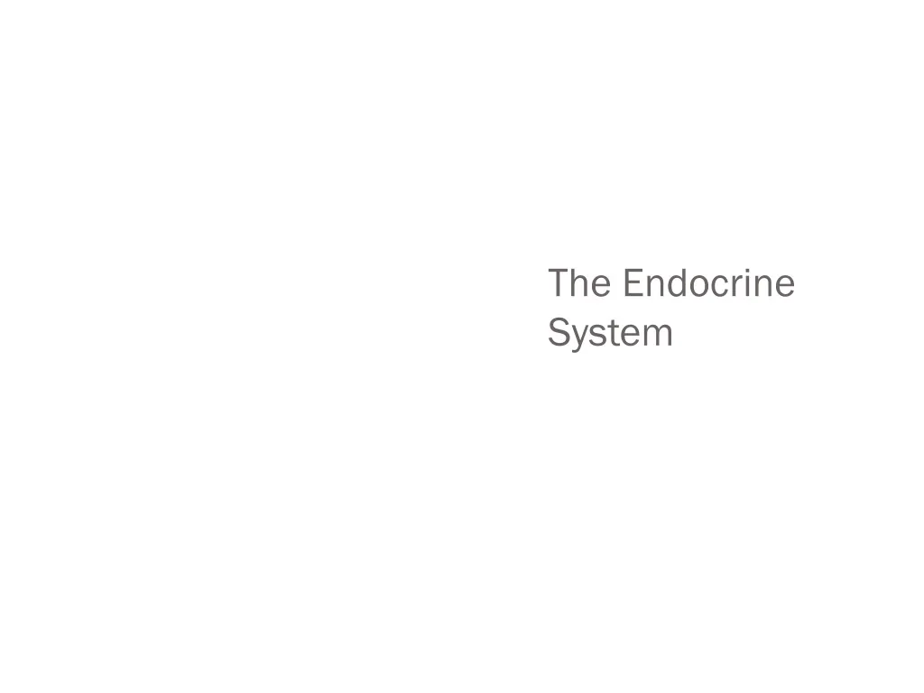 the endocrine system