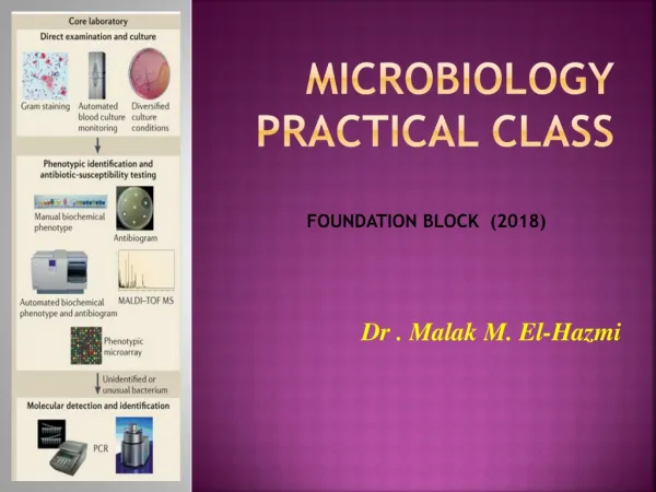 MICROBIOLOGY Practical Class