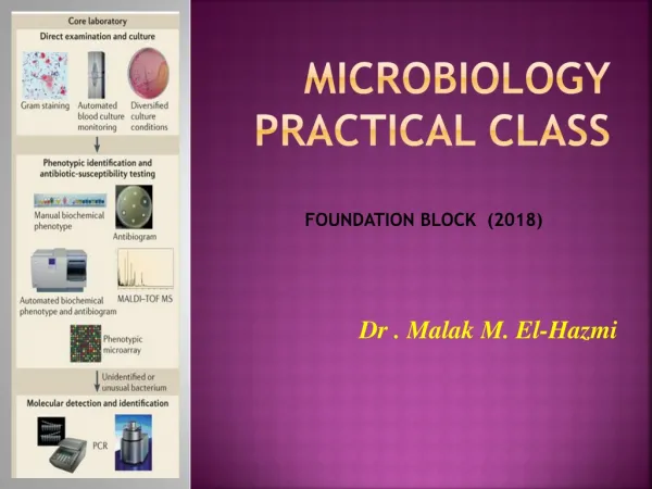 microbiology practical class