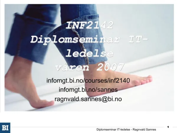 INF2142 Diplomseminar IT-ledelse v ren 2007