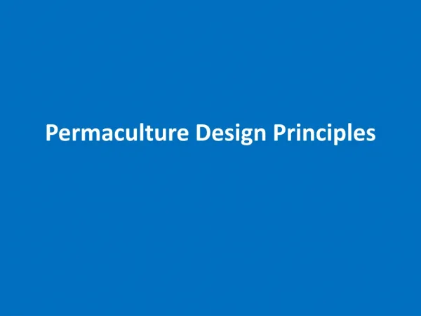 Permaculture Design Principles
