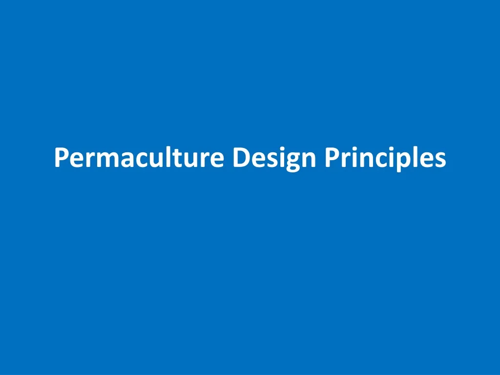permaculture design principles