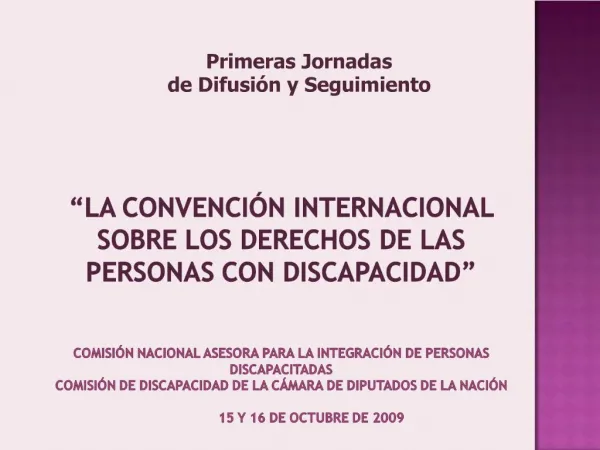La Convenci n Internacional sobre los Derechos de las Personas con Discapacidad Comisi n Nacional Asesora para la in