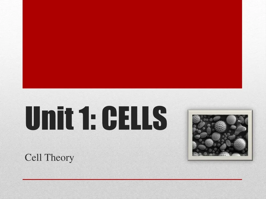 unit 1 cells