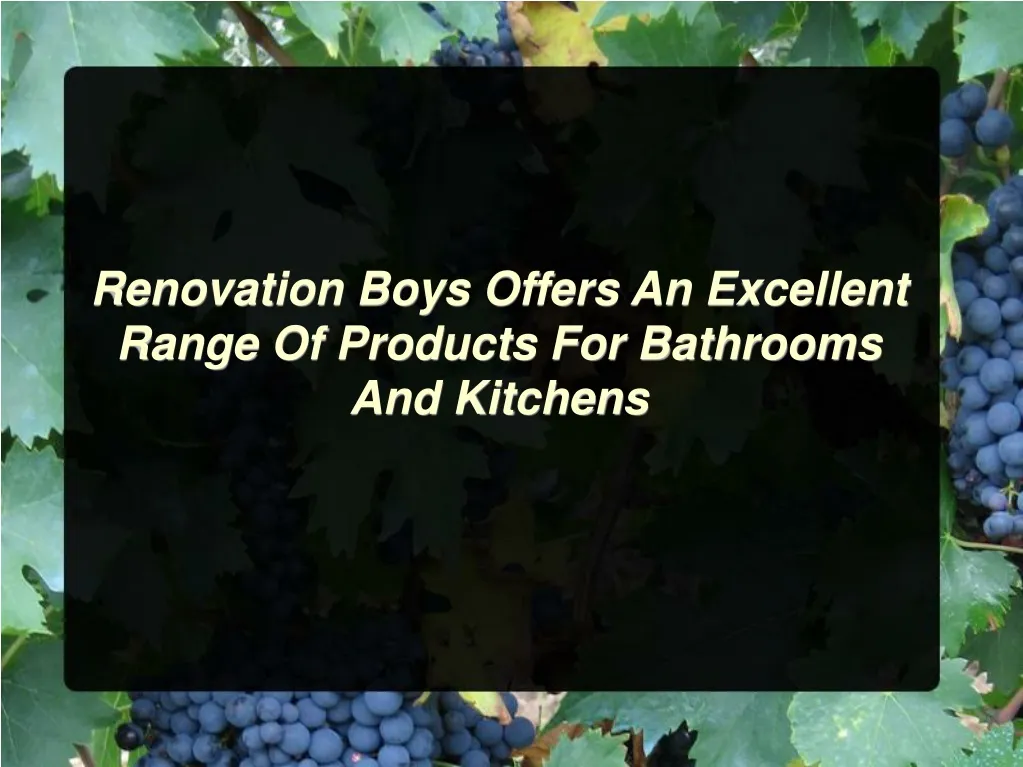 renovation boys offers an excellent range