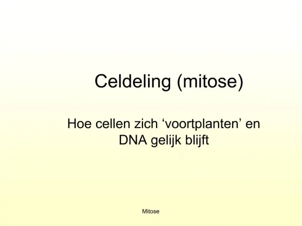 Celdeling mitose