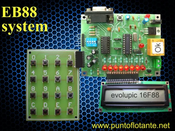 www puntoflotante net