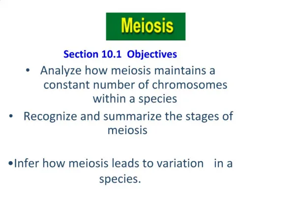 Section 10.1 Objectives Analyze how meiosis maintains a constant number of chromosomes within a species Recognize and