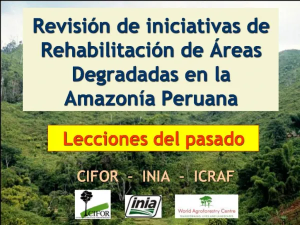 Revisi n de iniciativas de Rehabilitaci n de reas Degradadas en la Amazon a Peruana