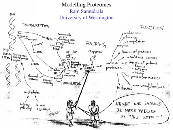 Modelling Proteomes Ram Samudrala University of Washington