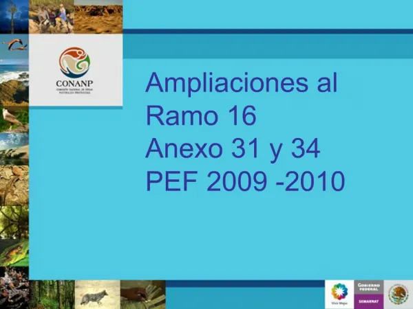 Ampliaciones al Ramo 16 Anexo 31 y 34 PEF 2009 -2010
