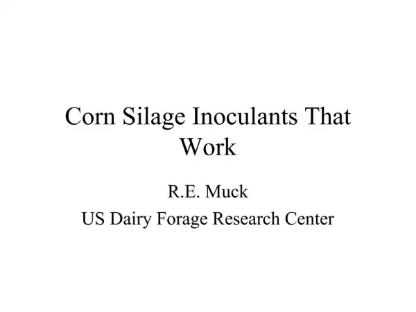 Corn Silage Inoculants That Work