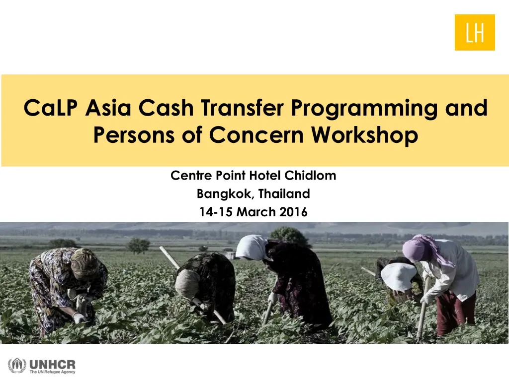 calp asia cash transfer programming and persons of concern workshop