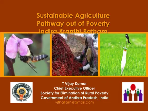T Vijay Kumar Chief Executive Officer Society for Elimination of Rural Poverty Government of Andhra Pradesh, India