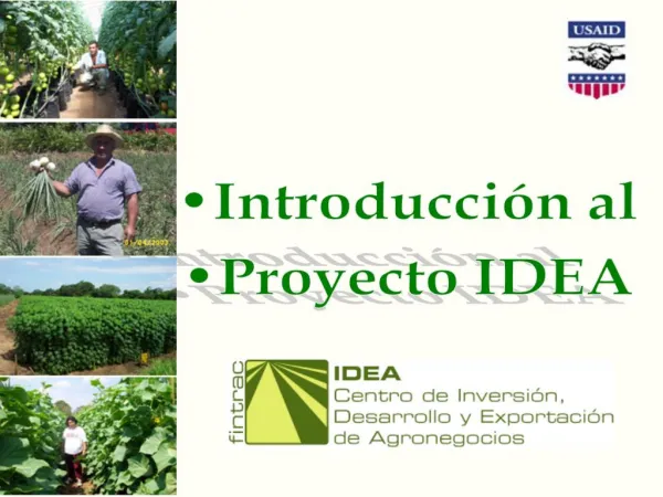 Introducci n al Proyecto IDEA