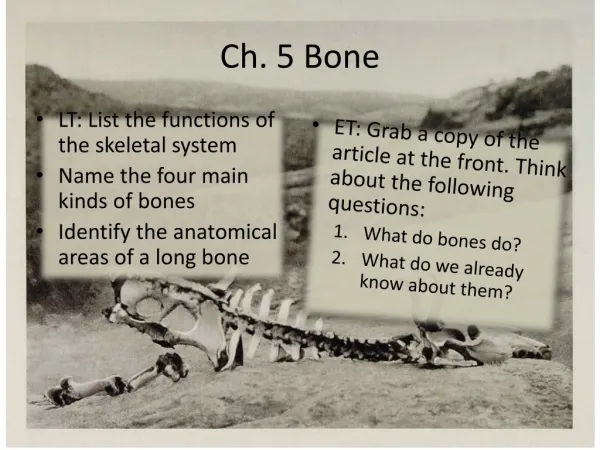 Ch. 5 Bone