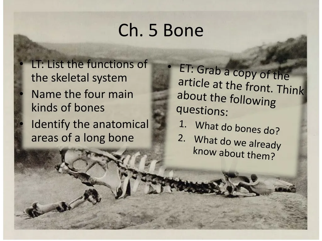 ch 5 bone