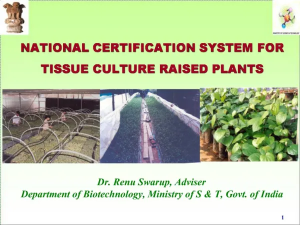NATIONAL CERTIFICATION SYSTEM FOR TISSUE CULTURE RAISED PLANTS