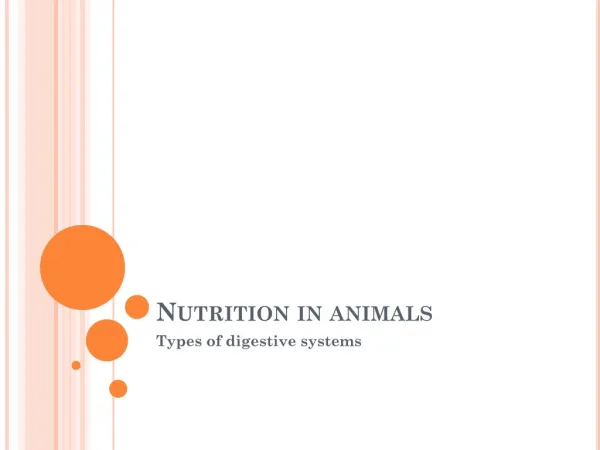 Nutrition in animals