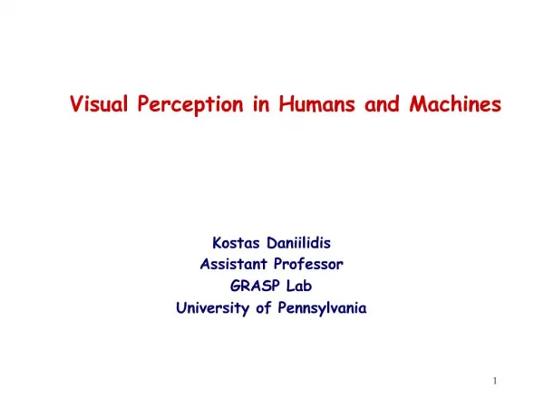 Visual Perception in Humans and Machines