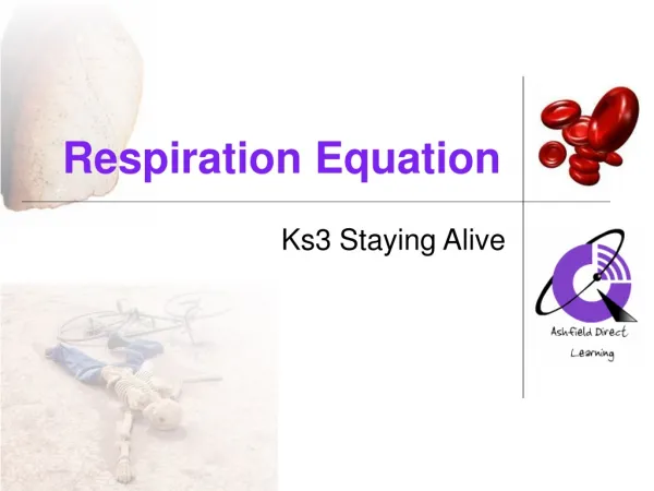 Respiration Equation