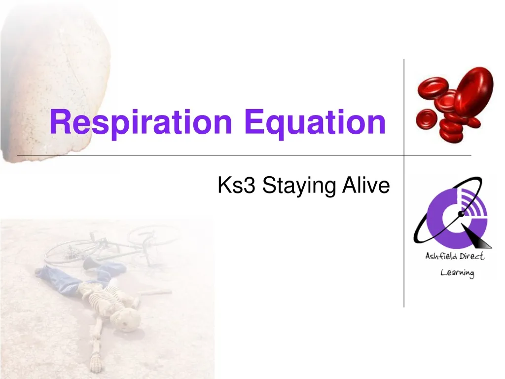 respiration equation