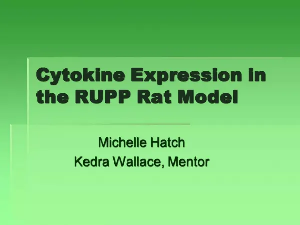 Cytokine Expression in the RUPP Rat Model