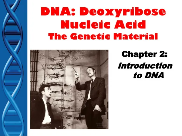 DNA: Deoxyribose Nucleic Acid The Genetic Material