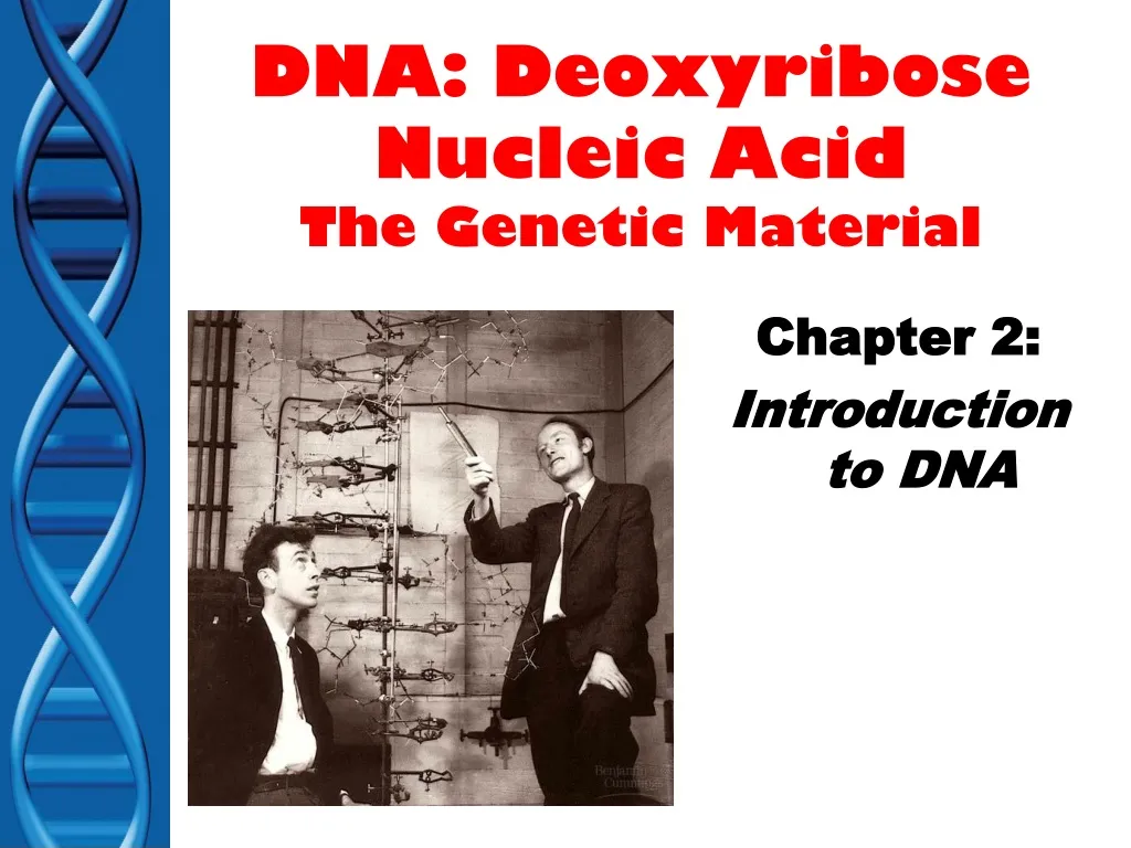 dna deoxyribose nucleic acid the genetic material