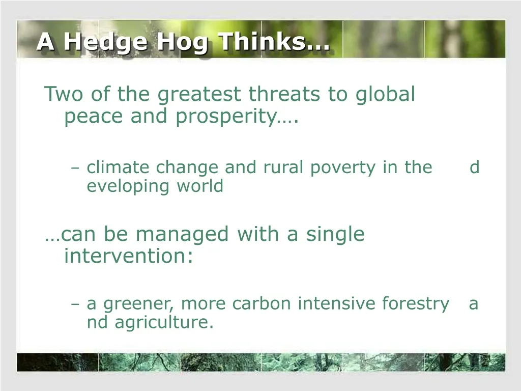 a hedge hog thinks