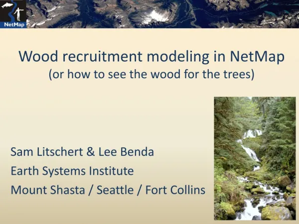 Wood recruitment modeling in NetMap (or how to see the wood for the trees)