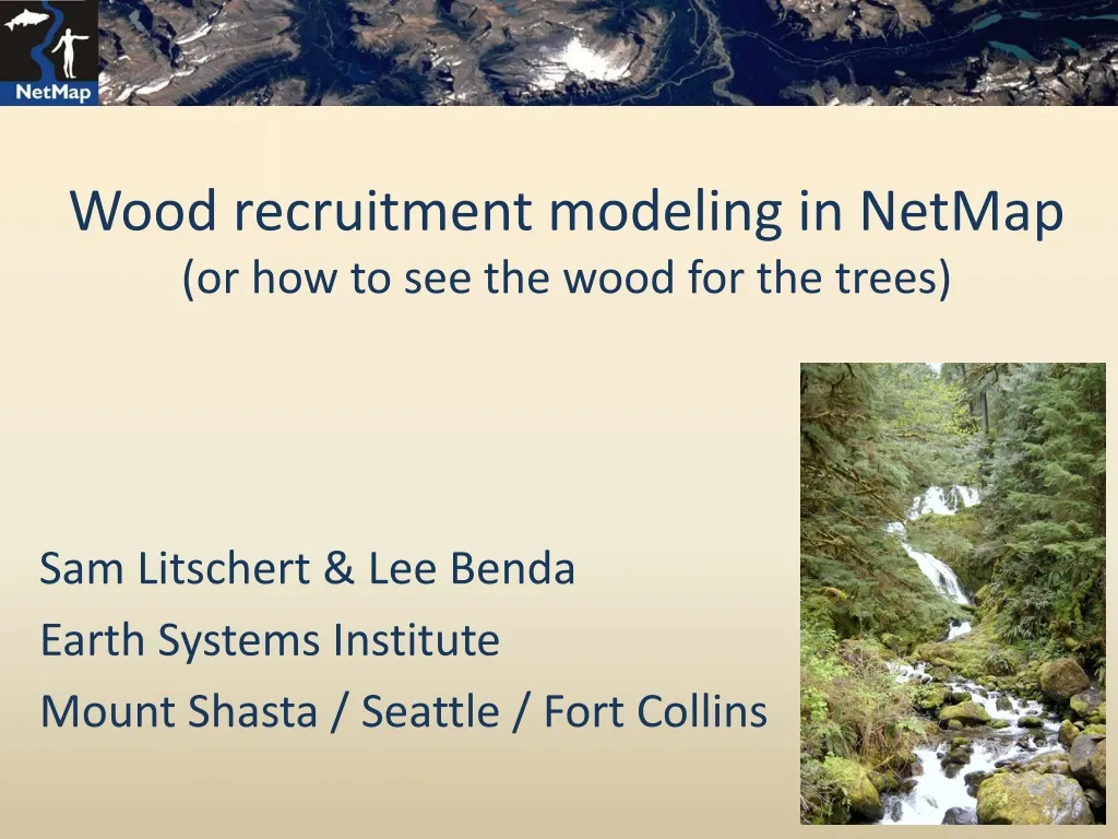 wood recruitment modeling in netmap or how to see the wood for the trees