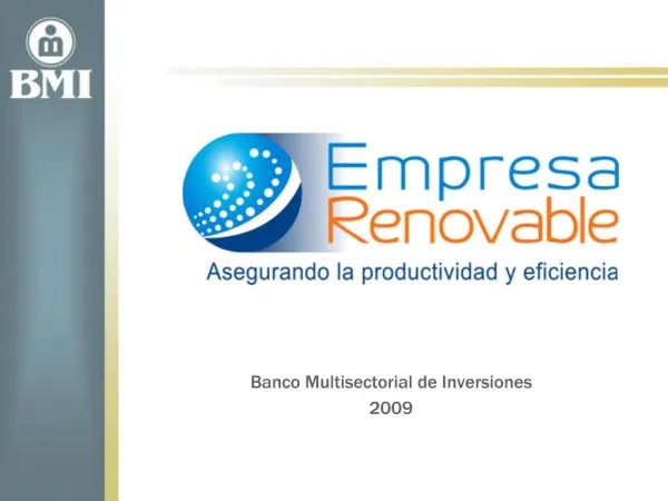 Banco Multisectorial de Inversiones 2009