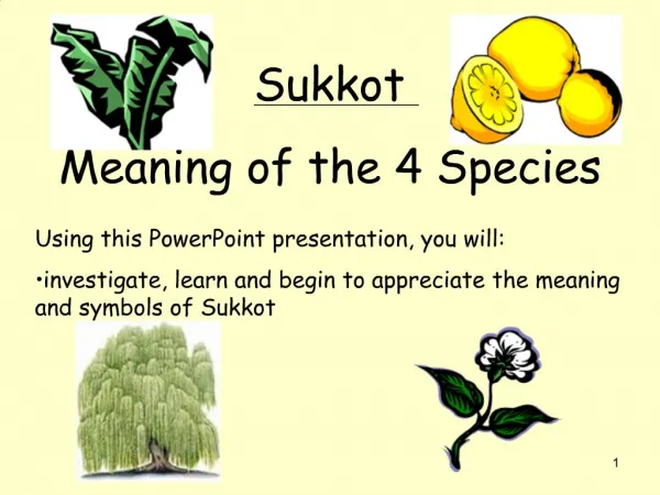 Sukkot Meaning of the 4 Species