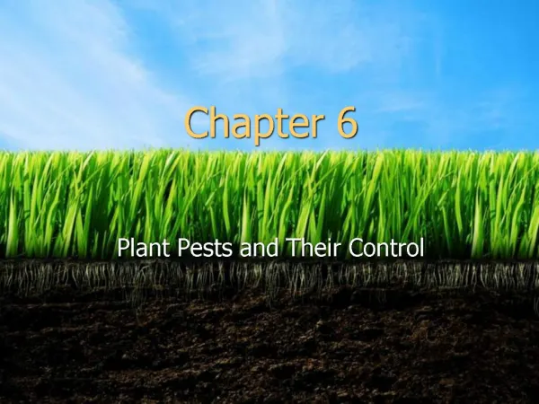 Plant Pests and Their Control