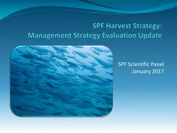 SPF Harvest Strategy: Management Strategy Evaluation Update