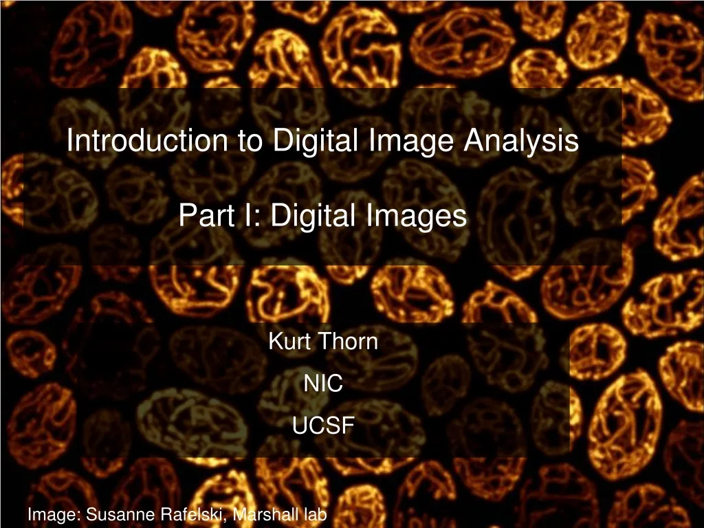 introduction to digital image analysis part i digital images