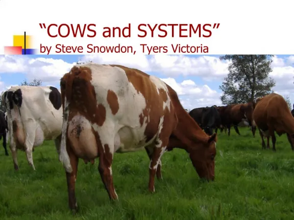 COWS and SYSTEMS by Steve Snowdon, Tyers Victoria