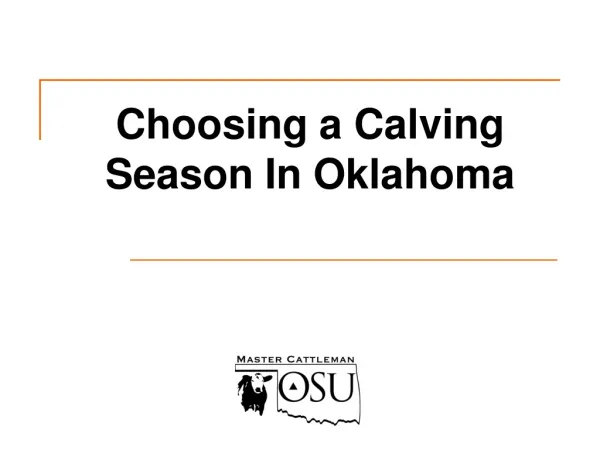 Choosing a Calving Season In Oklahoma
