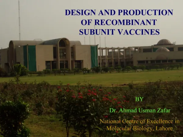 DESIGN AND PRODUCTION OF RECOMBINANT SUBUNIT VACCINES