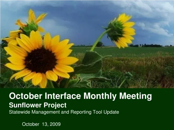 October Interface Monthly Meeting Sunflower Project Statewide Management and Reporting Tool Update