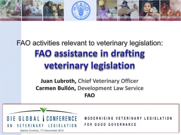 FAO activities relevant to veterinary legislation: FAO assistance in drafting