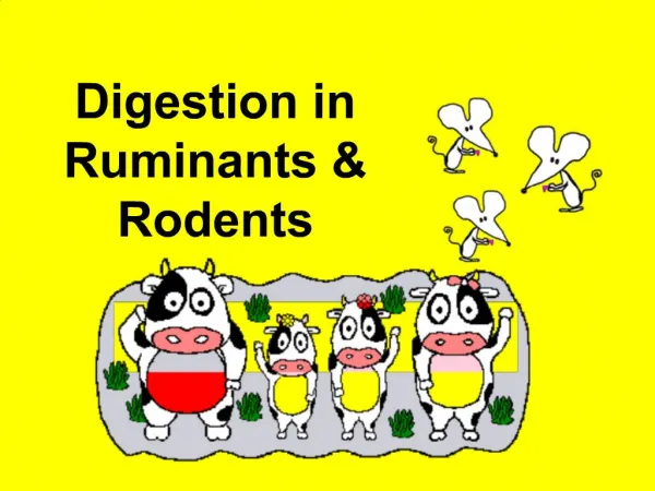 Digestion in Ruminants Rodents