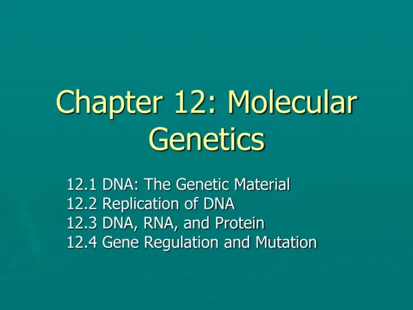 Chapter 12: Molecular Genetics