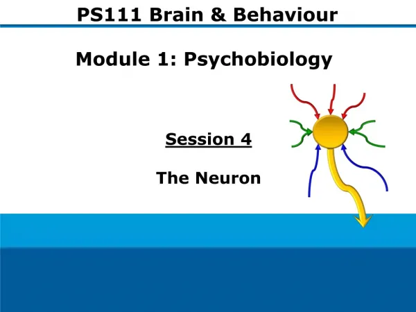 Session 4 The Neuron