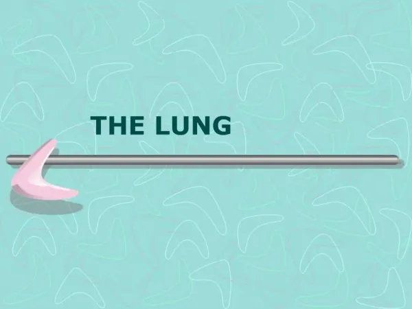 THE LUNG