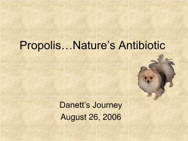 Propolis…Nature’s Antibiotic