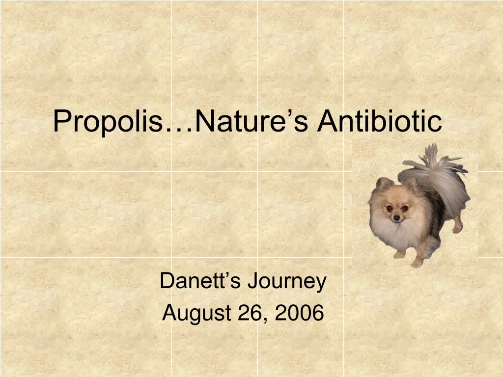 propolis nature s antibiotic