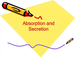 Absorption and Secretion - slide 1